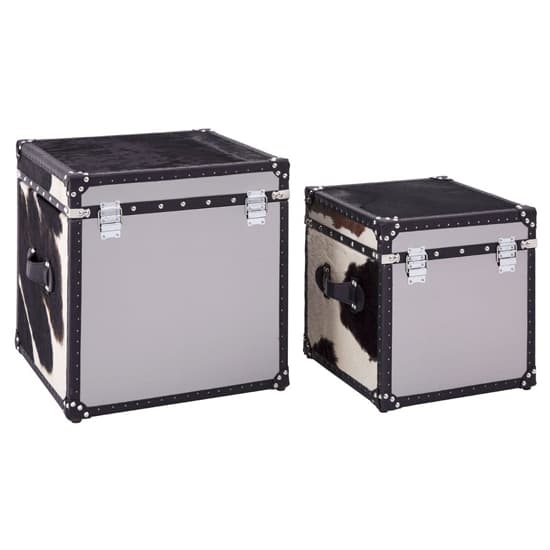 Kensick Wooden Set Of 2 Storage Trunks In Black And White_3
