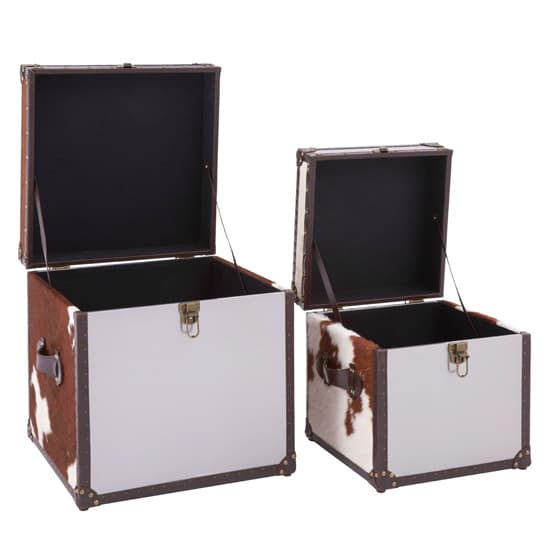 Kensick Wooden Set Of 2 Storage Trunks In Brown And White_3