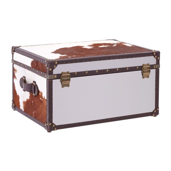 Kensick Wooden Storage Trunk In Brown And White_3