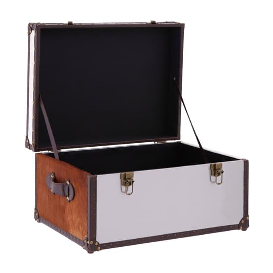 Kensick Wooden Storage Trunk In Brown And White_4