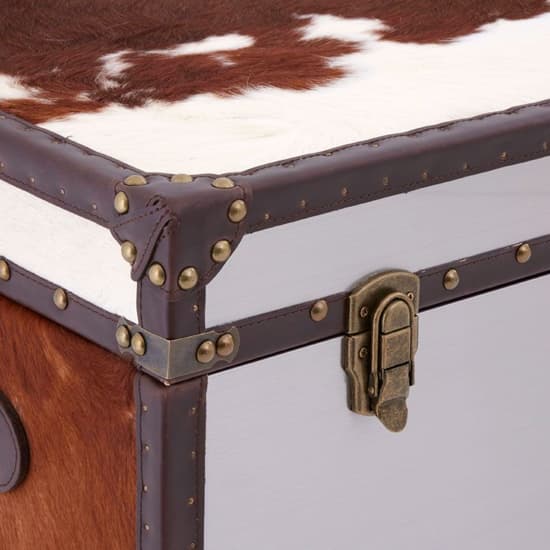Kensick Wooden Storage Trunk In Brown And White_5