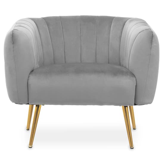 Larrisa Velvet Armchair With Gold Metal Legs In Grey_2
