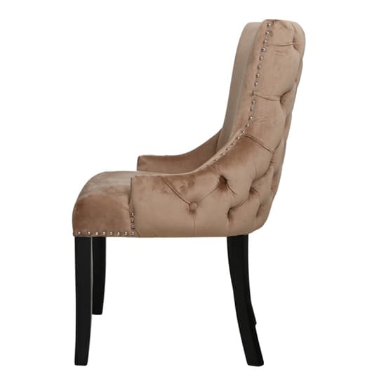 Laughlin Champagne Velvet Dining Chairs With Tufted Back In Pair_4