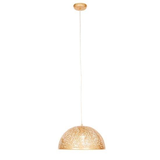 Lennon Dome Shaped Iron Pendant Light In Gold_1