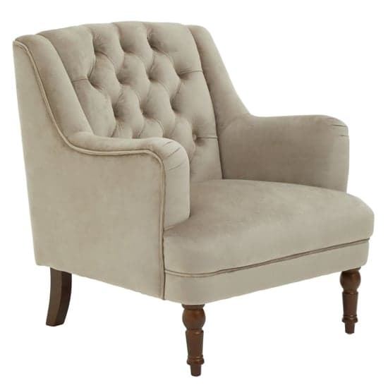 Lillie Velvet Upholstered Armchair In Mink