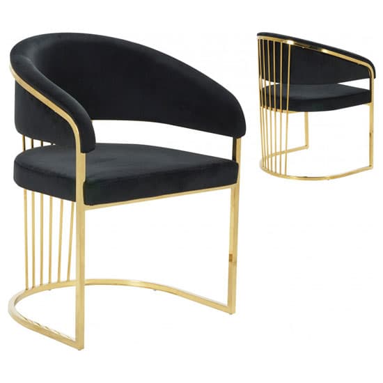 Longi Black Velvet Dining Chair In Pair With Gold Legs Furniture in Fashion