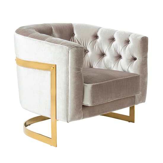 Lorman Velvet Accent Chair In Grey With Gold Frame_2