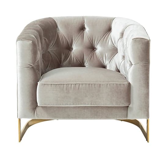 Lorman Velvet Accent Chair In Grey With Gold Frame_1