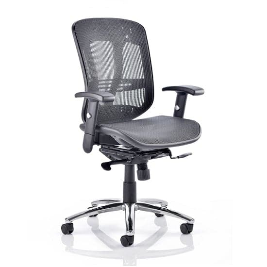 Lydock Mesh Executive Chair In Black With Adjustable Arms_1