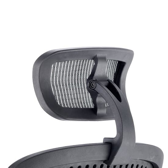 Lydock Mesh Executive Chair In Black With Headrest_4