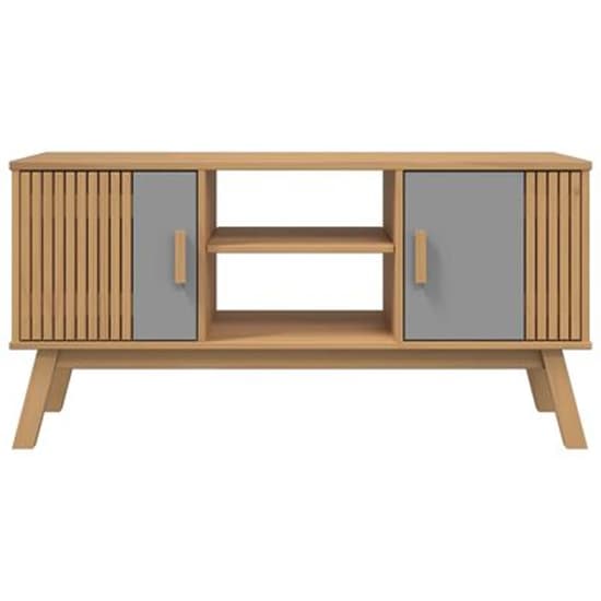Marlow Wooden TV Stand With 2 Doors In Gray and Brown_3