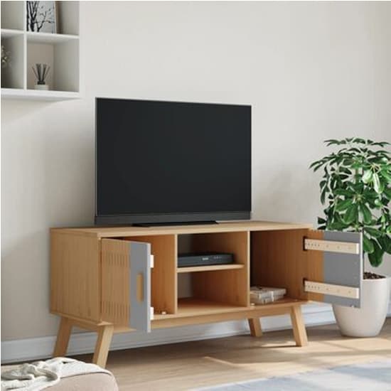 Marlow Wooden TV Stand With 2 Doors In Gray and Brown_4