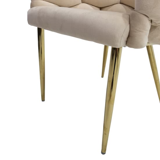 Massa Velvet Dining Chair In Cream With Gold Legs_3