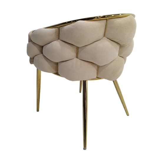 Massa Velvet Dining Chair In Cream With Gold Legs_4
