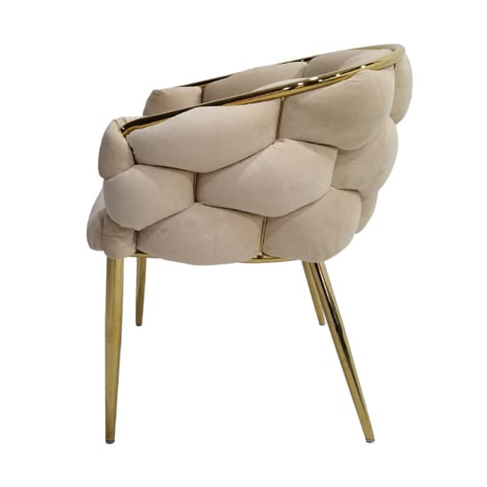Massa Velvet Dining Chair In Cream With Gold Legs_6