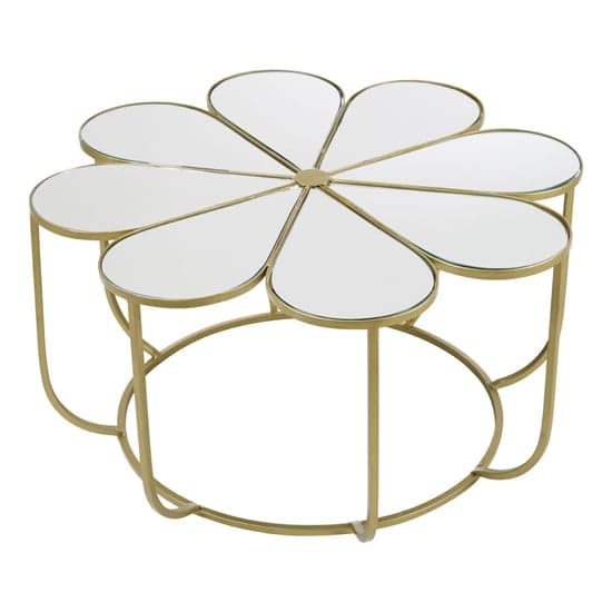 Mekbuda Petal White Mirrored Top Coffee Table With Gold Frame_2