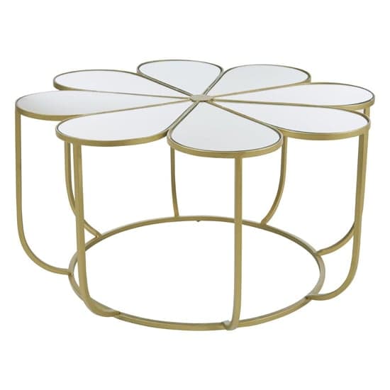 Mekbuda Petal White Mirrored Top Coffee Table With Gold Frame_1