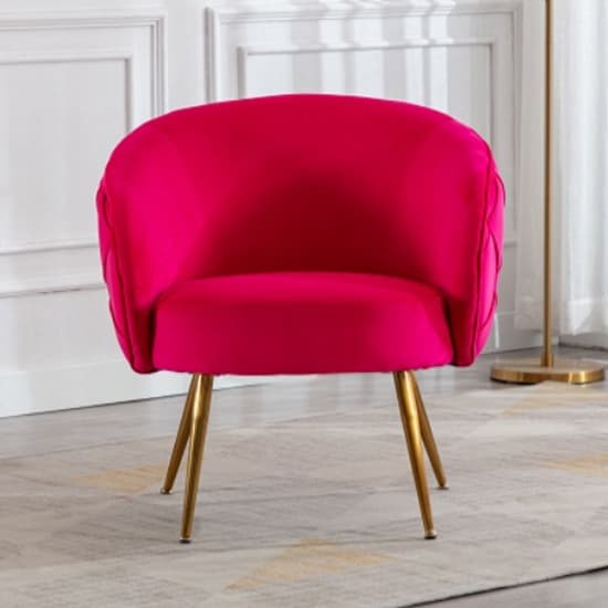 Millville Velvet Lounge Chair In Raspberry With Gold Legs_2