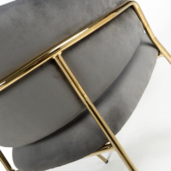Monza Grey Brushed Velvet Dining Chairs With Gold Legs In Pair_8