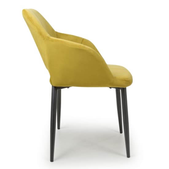 Narva Lime Gold Brushed Velvet Dining Chairs In Pair_4