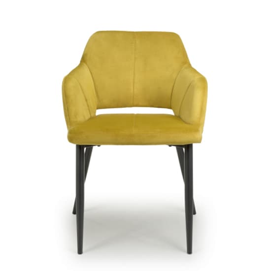 Narva Lime Gold Brushed Velvet Dining Chairs In Pair_5