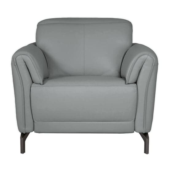 Nellie Leather Fixed Armchair In Steel_2