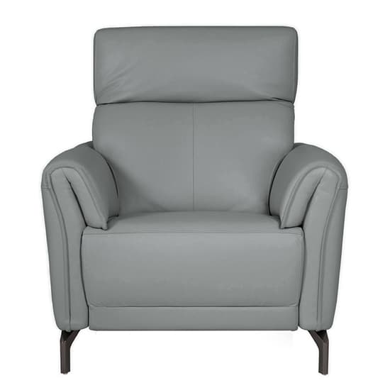 Nellie Leather Fixed Armchair In Steel_3