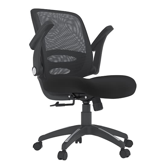 Northop Mesh Fabric Adjustable Home And Office Chair In Black_2