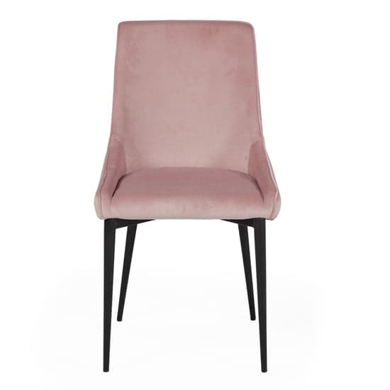 Payton Blush Velvet Dining Chairs With Metal Legs In Pair_2