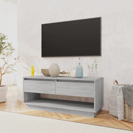 Perdy Wooden TV Stand With 2 Drawers In Grey Sonoma Oak_2