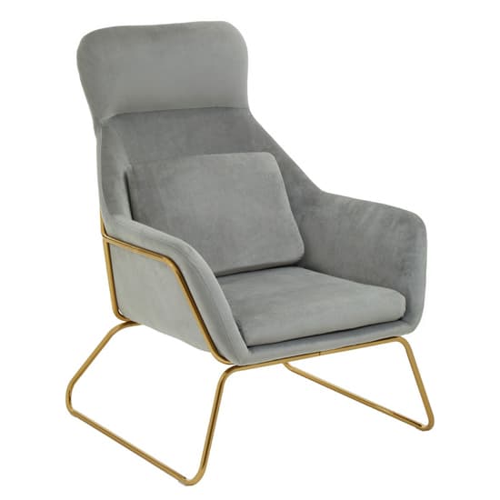 Porrima Velvet Armchair With Gold Metal Frame In Grey_1