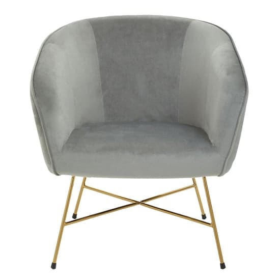 Porrima Velvet Upholstered Accent Chair In Grey_2