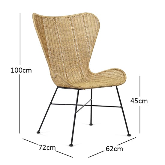 Puqi Rattan Wing Accent Chair In Natural_3