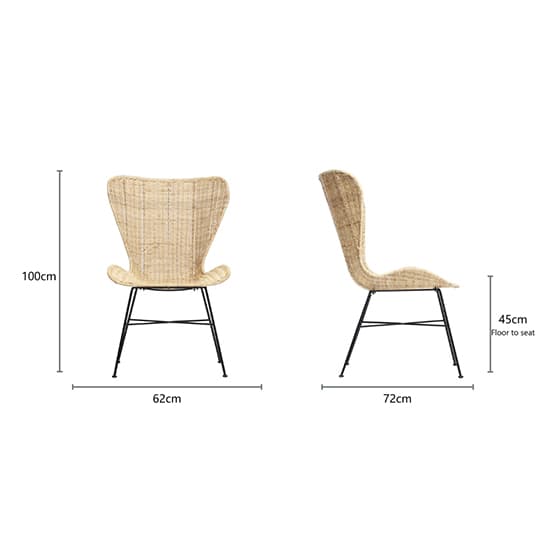 Puqi Rattan Wing Accent Chair In Natural_4