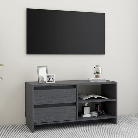 Quana Pinewood TV Stand With 2 Doors 1 Shelf In Grey_2