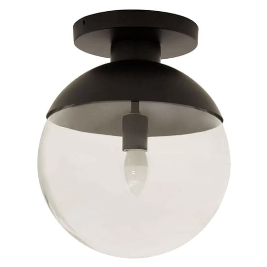 Rocklin Clear Glass Shade Ceiling Light In Black_1