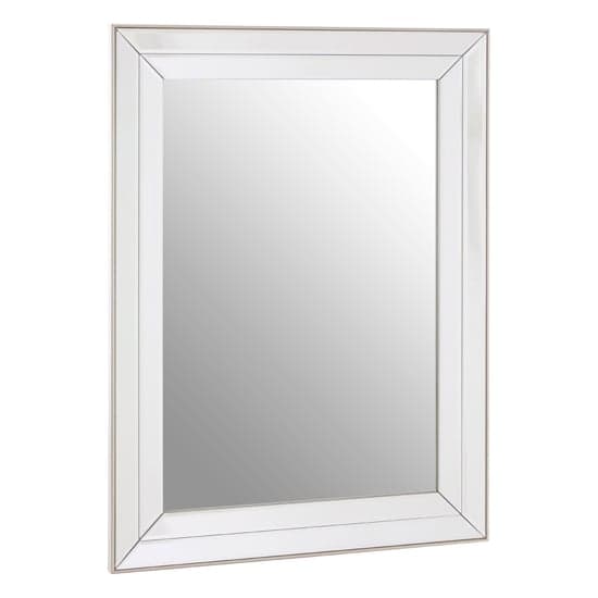 Susann Rectangular Wall Bedroom Mirror In Clear Frame_1
