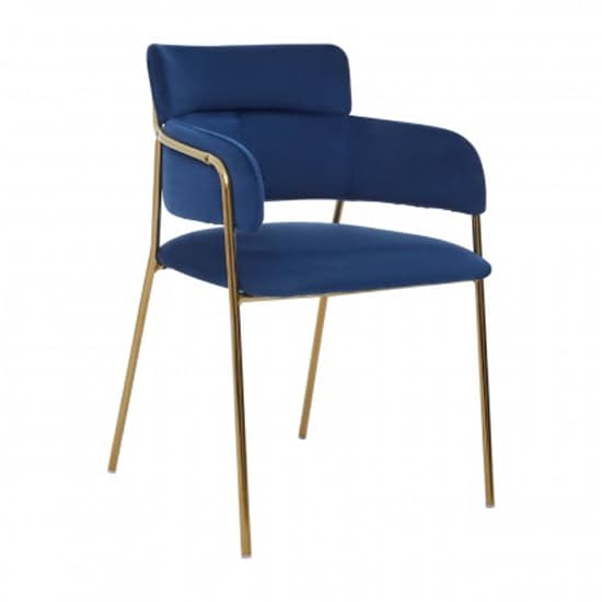 Tamzo Blue Velvet Dining Chairs And Gold Legs In Pair_2