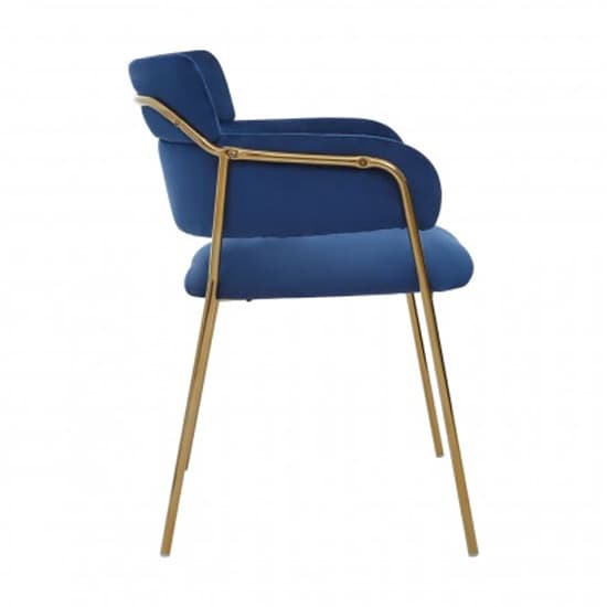 Tamzo Blue Velvet Dining Chairs And Gold Legs In Pair_4