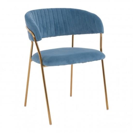 Tamzo Blue Velvet Dining Chairs With Gold Legs In Pair_2