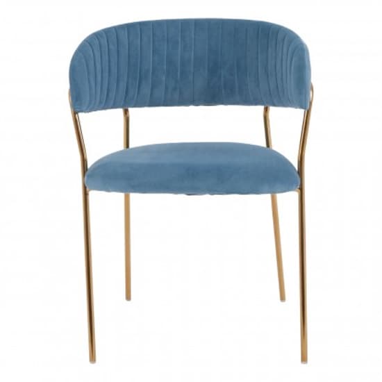 Tamzo Blue Velvet Dining Chairs With Gold Legs In Pair_3