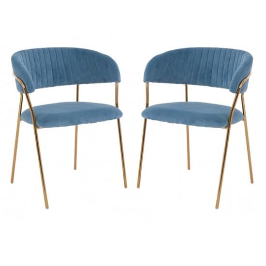 Tamzo Blue Velvet Dining Chairs With Gold Legs In Pair