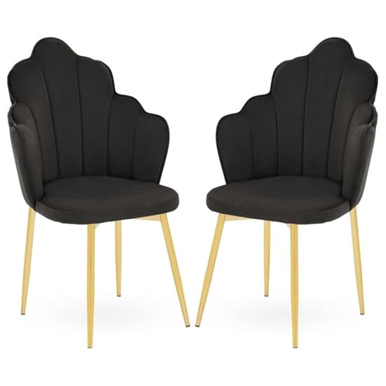 Tania Black Velvet Dining Chairs With Gold Legs In A Pair_1