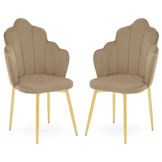 Tania Mink Velvet Dining Chairs With Gold Legs In A Pair_1
