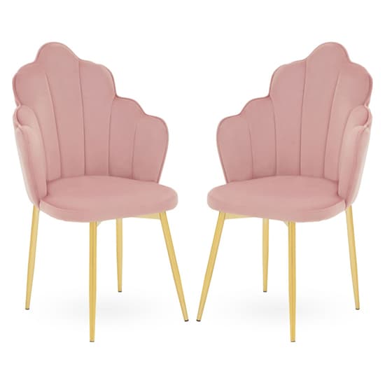 Tania Pink Velvet Dining Chairs With Gold Legs In A Pair Furniture in