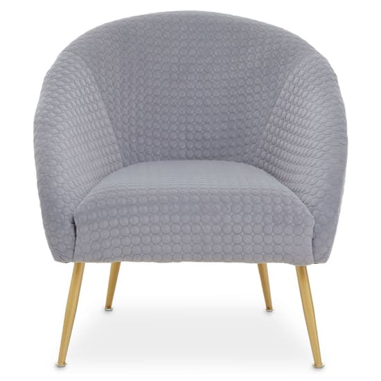 Tanya Velvet Occasional Chair With Gold Metal Legs In Grey_2