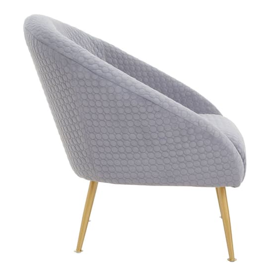 Tanya Velvet Occasional Chair With Gold Metal Legs In Grey_3