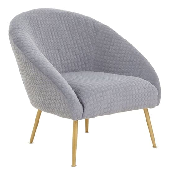 Tanya Velvet Occasional Chair With Gold Metal Legs In Grey_1