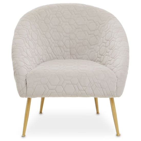 Tanya Velvet Occasional Chair With Gold Metal Legs In Natural_2