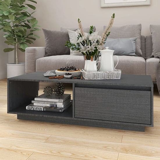 Tevie Solid Pinewood Coffee Table With 1 Door In Grey_2